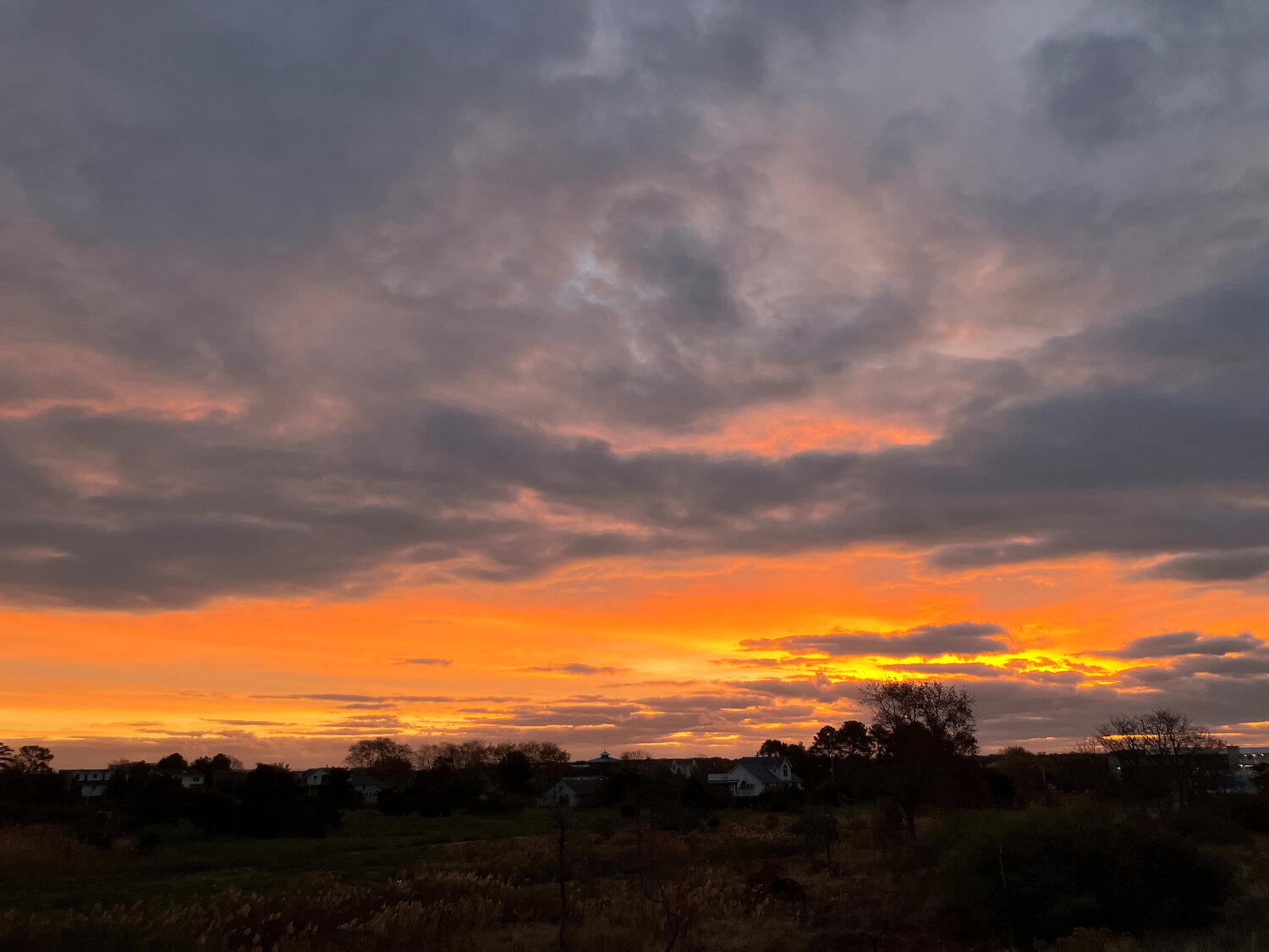 Lewes sunrise Bay to Bay News